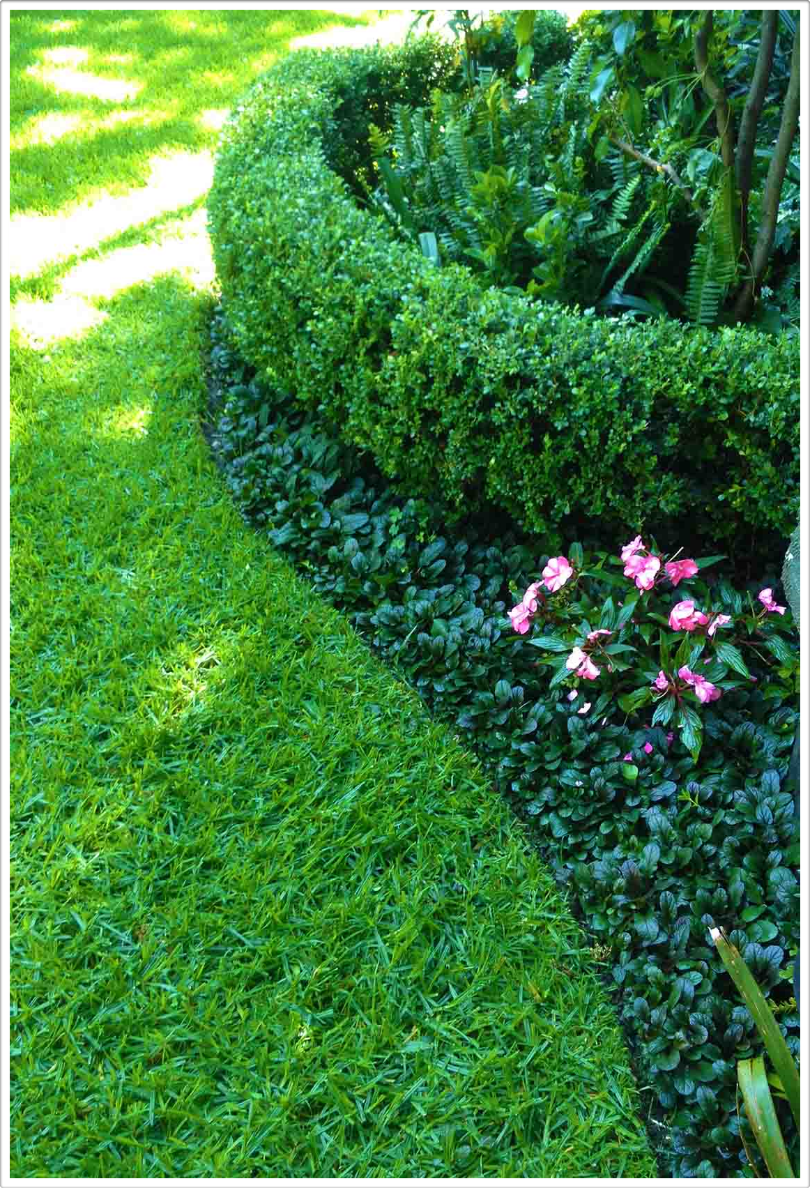 Gardens by Daniel Pavon Cuellar