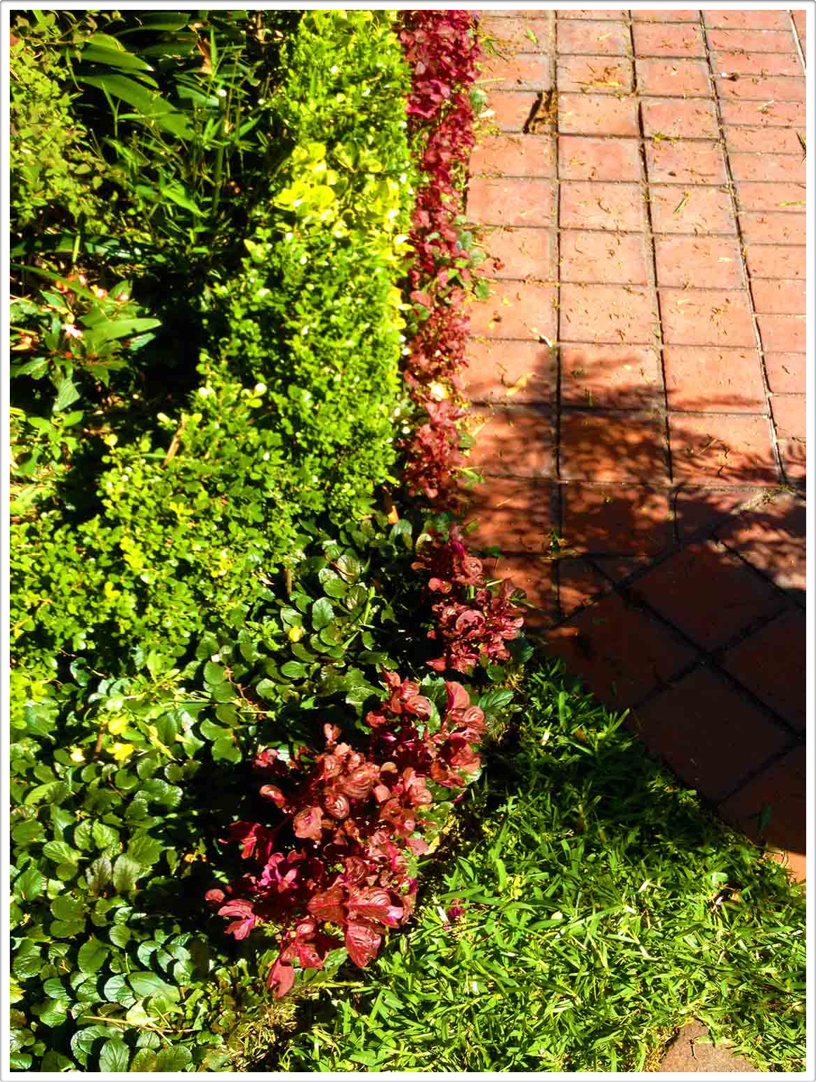 Gardens by Daniel Pavon Cuellar